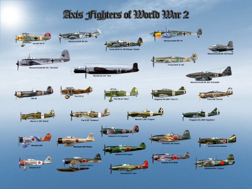 Axis Fighters of WW2